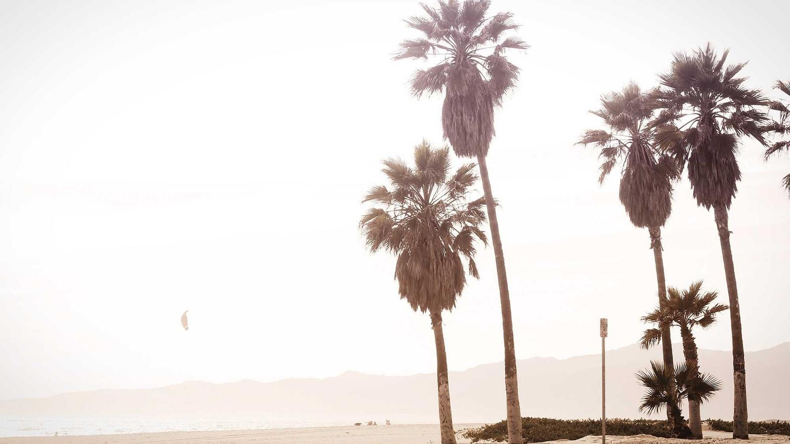 Nutritional Supplements