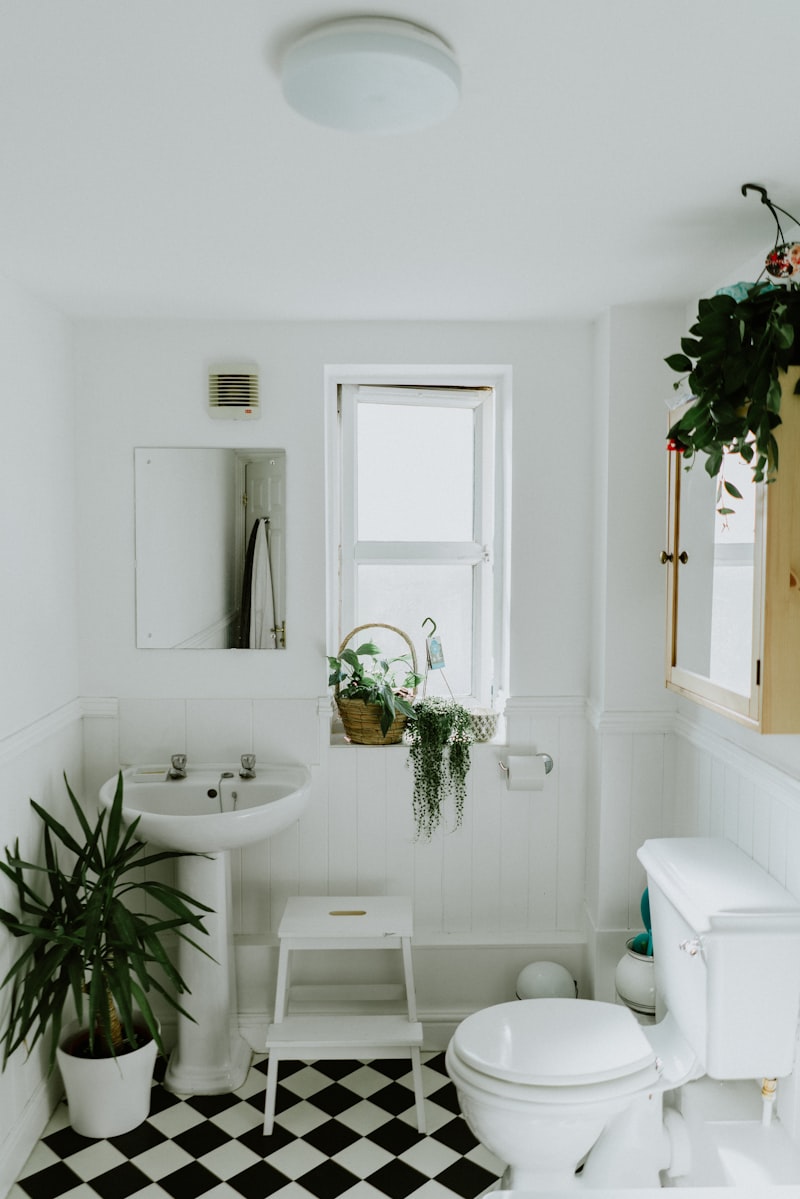 Shower Chair with Backrest